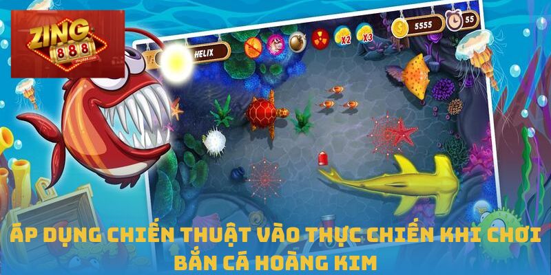 Bắn Cá Hoàng Kim Tại Zing88 Với Chiến Thuật Hiệu Quả 3 Áp dụng chiến thuật vào thực chiến khi chơi bắn cá hoàng kim
