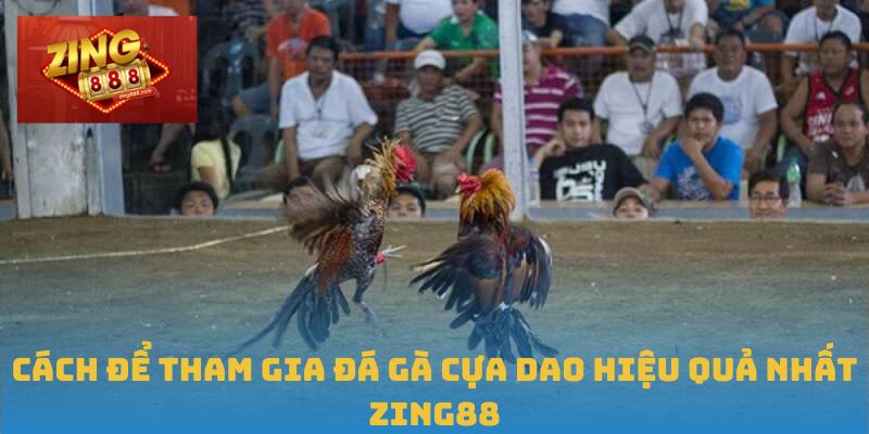 Đá Gà Cựa Dao – Sức Hút Hấp Dẫn, Bùng Nổ Tại Zing88 3 Cách để tham gia đá gà cựa dao hiệu quả nhất Zing88